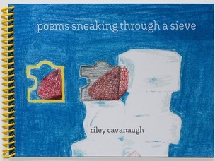 Poems Sneaking Through a Sieve